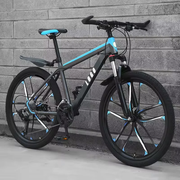 Vélo pour adulte