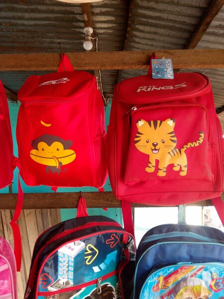Backpacks