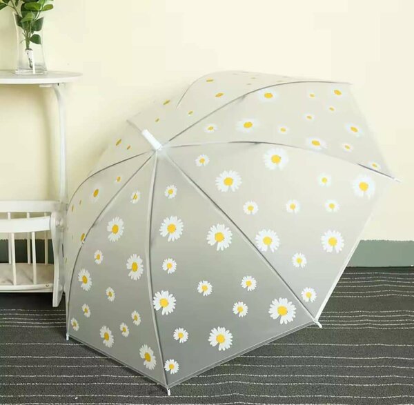 Parapluie transparent floral