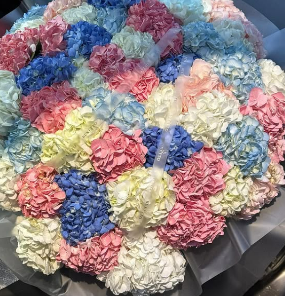  Королевские Гортензии 🤩