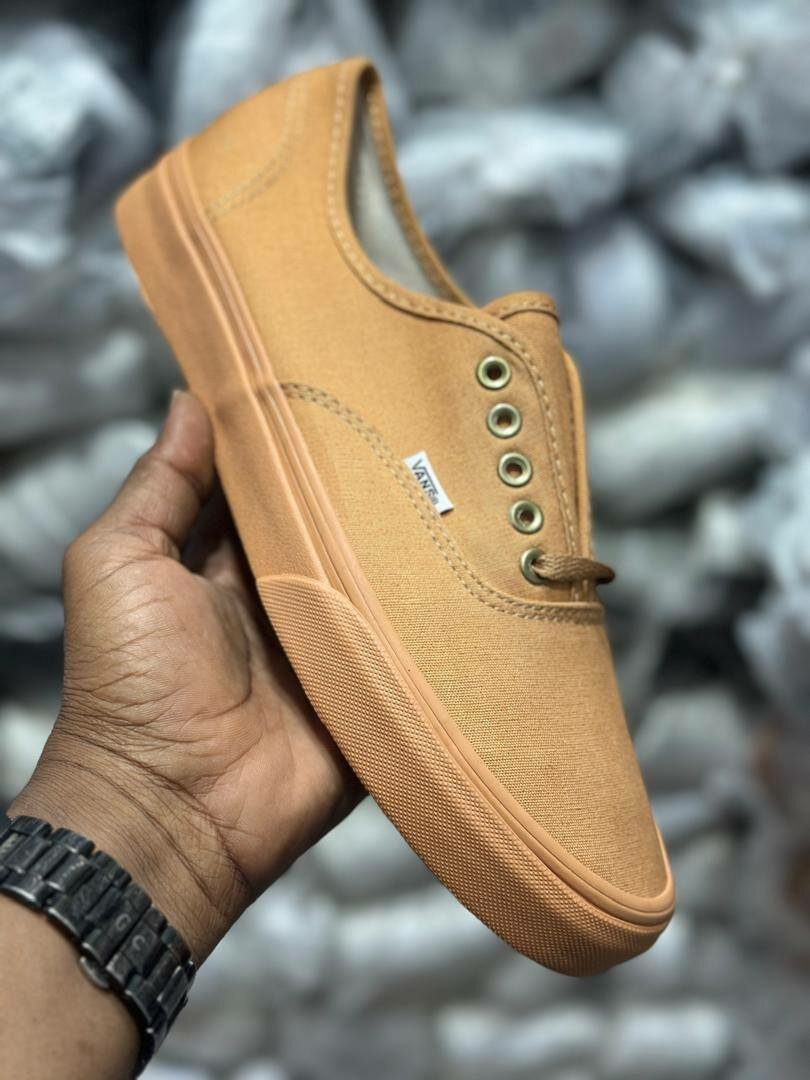 Chaussures Vans authentic