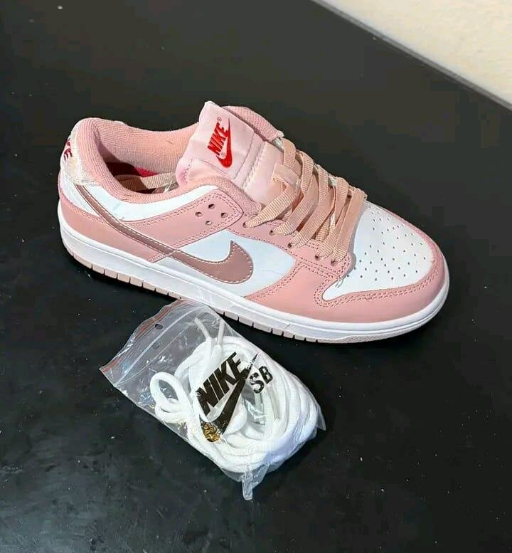 Chaussures Nike SB Colorées