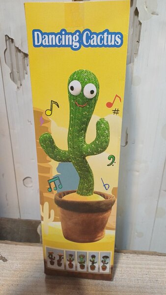 Dancing cactus