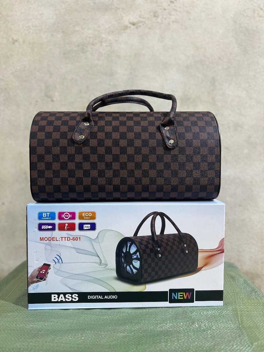 Enceinte Bluetooth Portable Karaoke