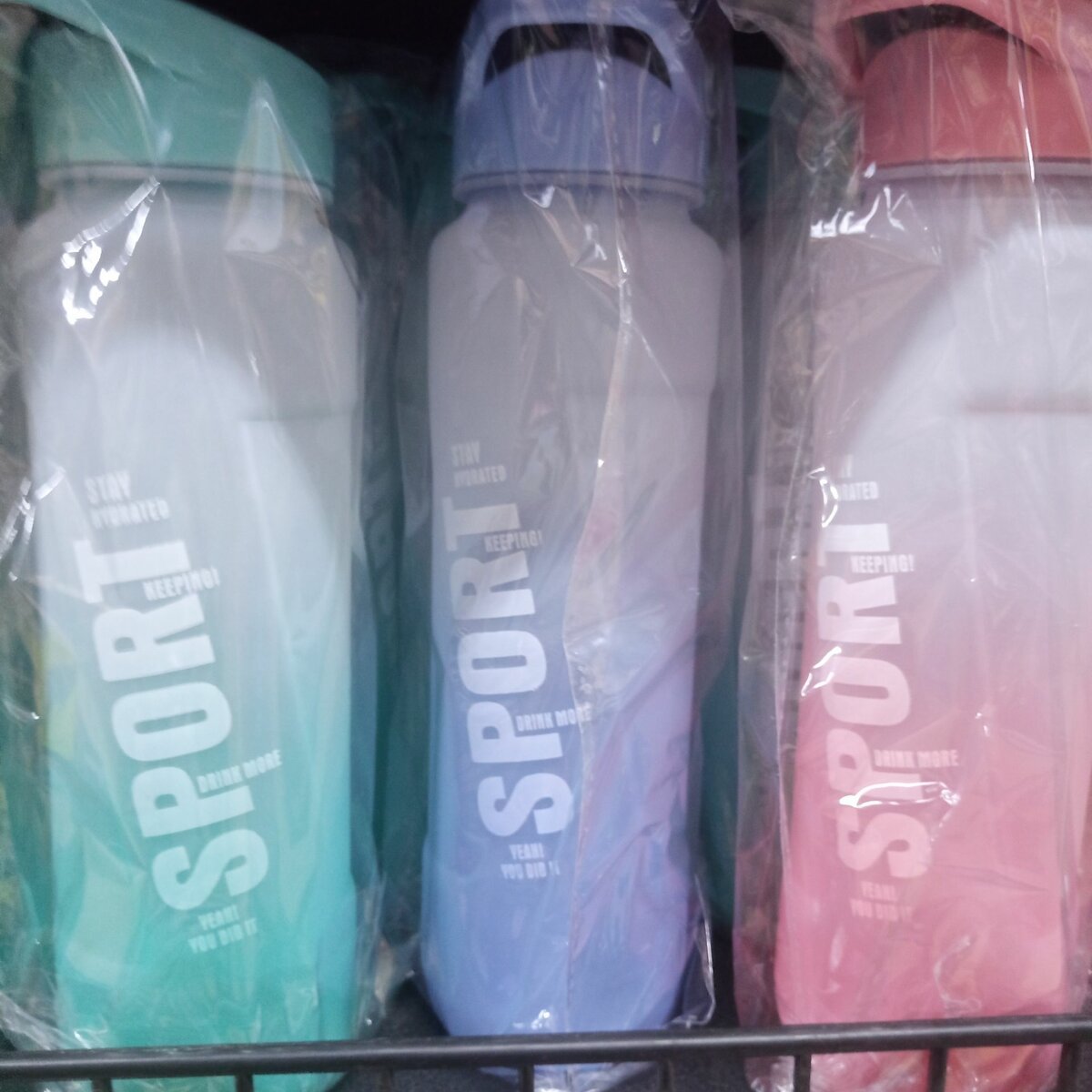 Gourdes de qualité très solide