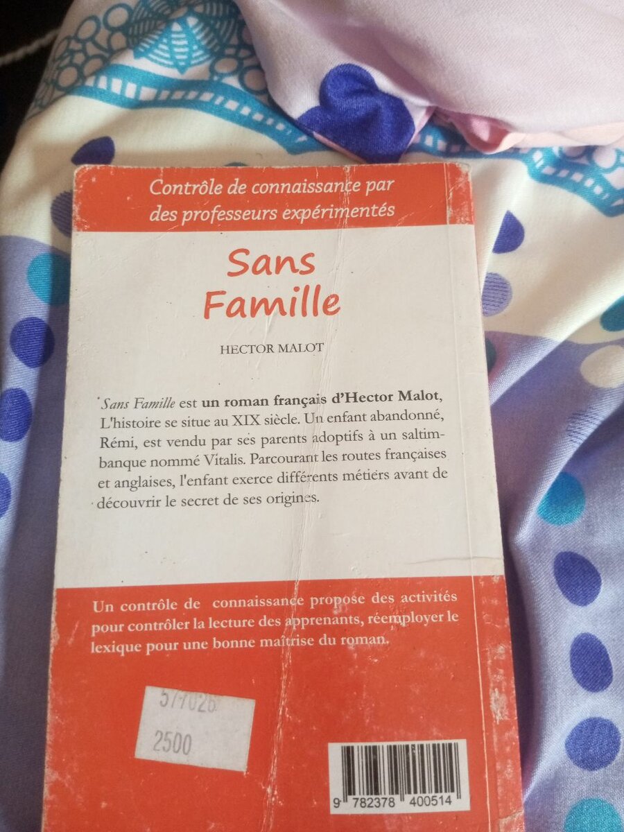 Sans Famille - Hector Malot