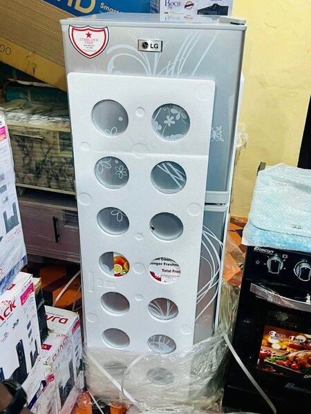 Réfrigérateur LG floral 2 portes