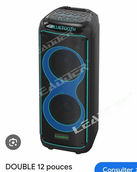 Enceinte Bluetooth Double 12 pouces