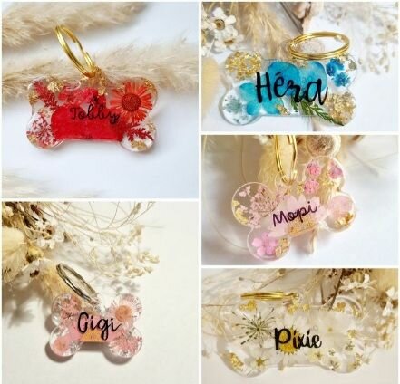 Moule Médaille Chien Chat