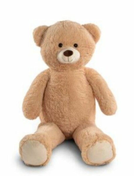Teddy bear