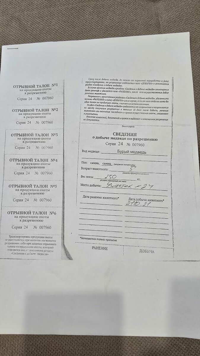 Продаю шкуру бурого медведя