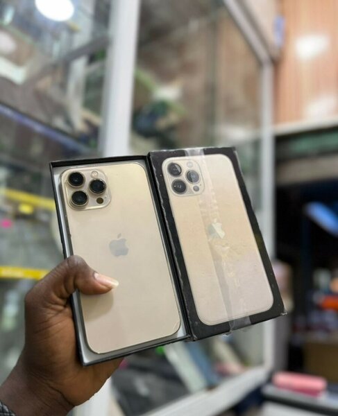 Smartphone Pro Max 256GB Débloqué