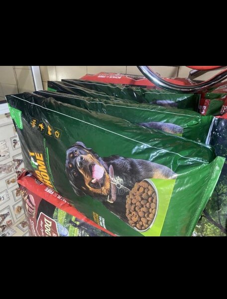 Happy home adult and puppy