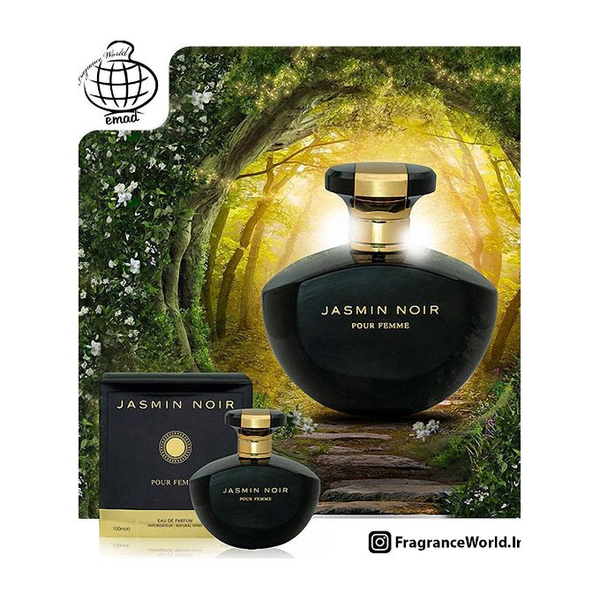 Fragrance World jasmin noir pour femme