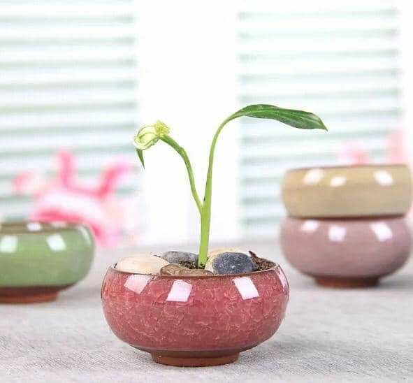 Pot de fleur décoratif