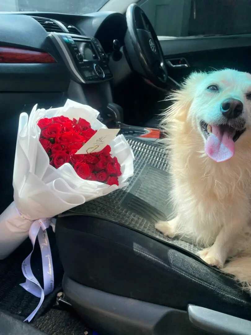 Flowers | Gift Artistry | Decor