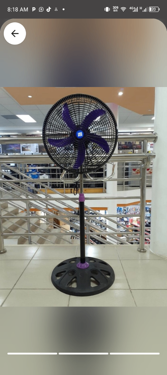 Standing Fan