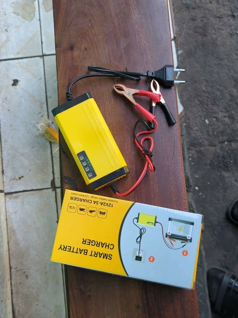 Smart car battery charger