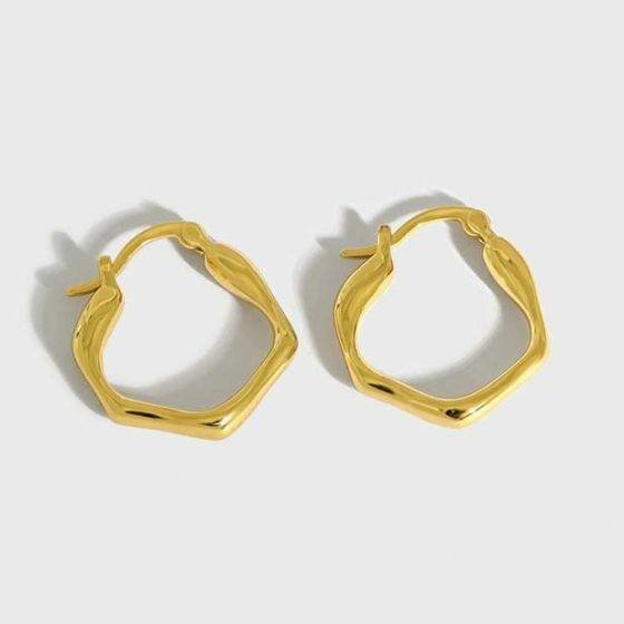 Irregular Geometry Hoop Earrings