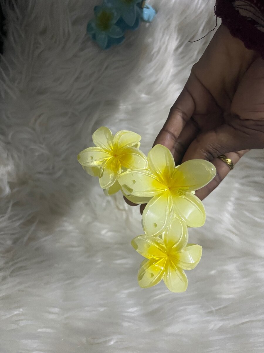 Épingles à Cheveux Fleurs Colorées