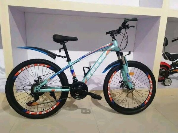 Vélo tout-terrain robuste