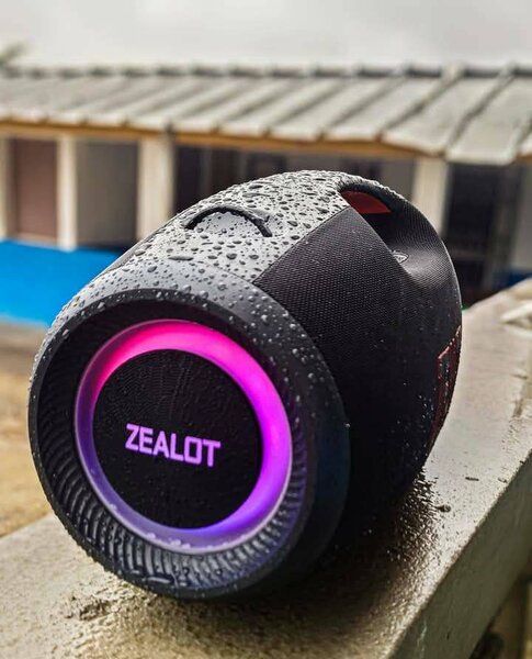 Zealot 250W Portable Speaker