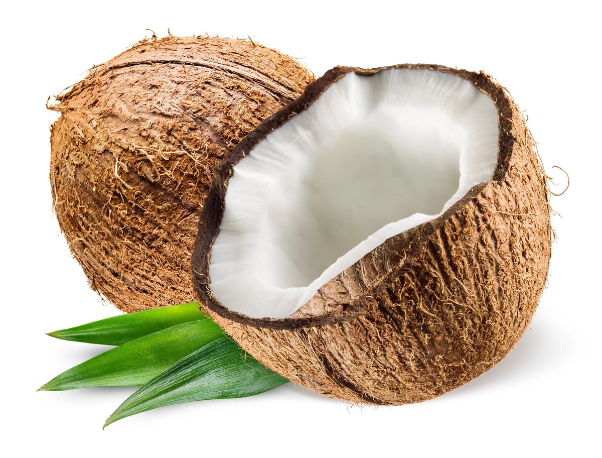 Coconut
