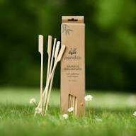 Pic brochette plate 20 cm