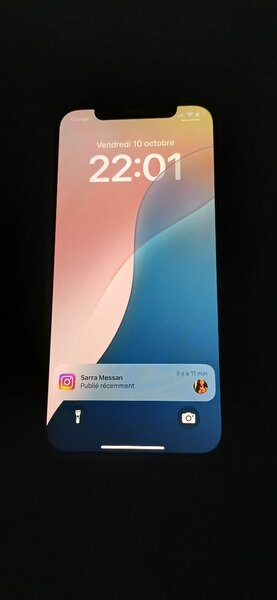 IPhone 12 simple 128g