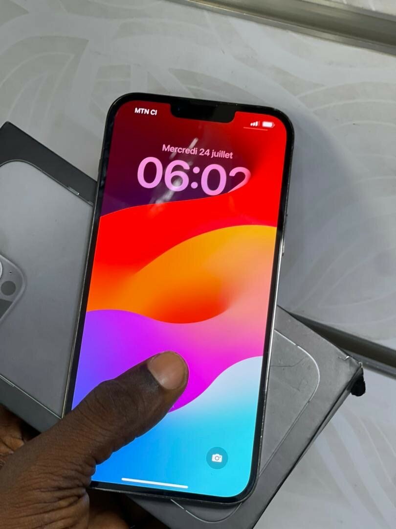 iPhone 13 Pro Max 256Go