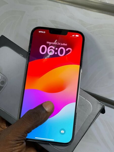 iPhone 13 Pro Max 256Go