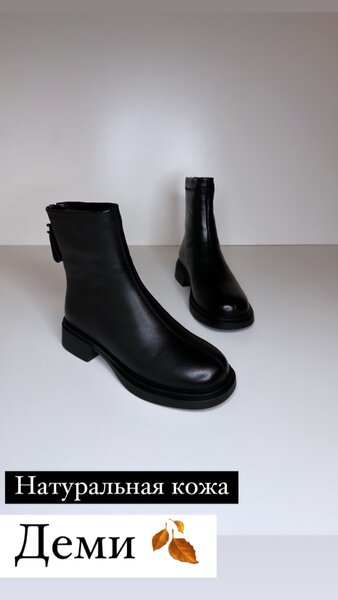 Новинка зима