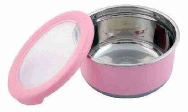 Stainless steel lunch bowl