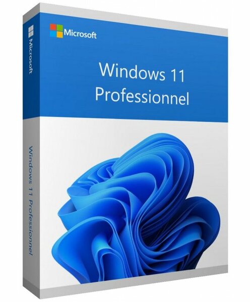 Windows 11 Professionnel