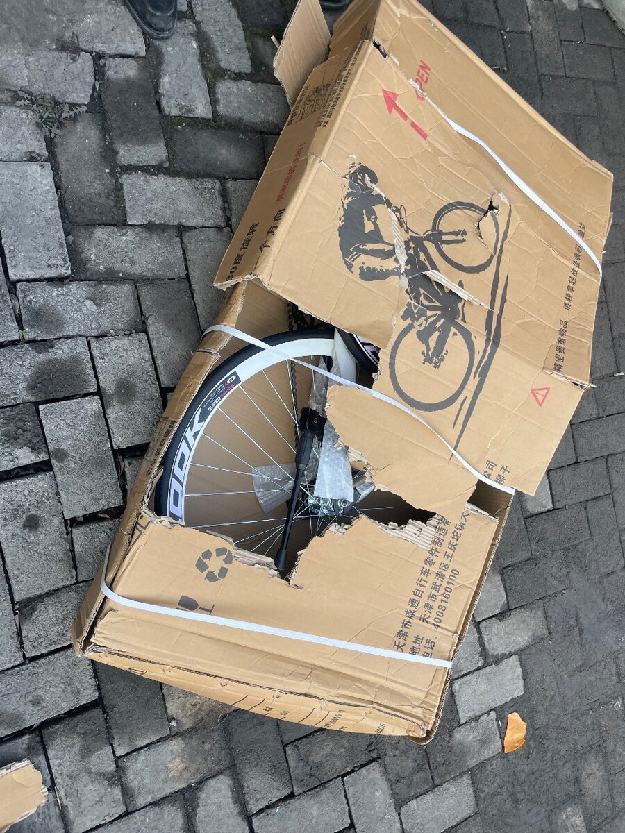 Синглспид 165-175