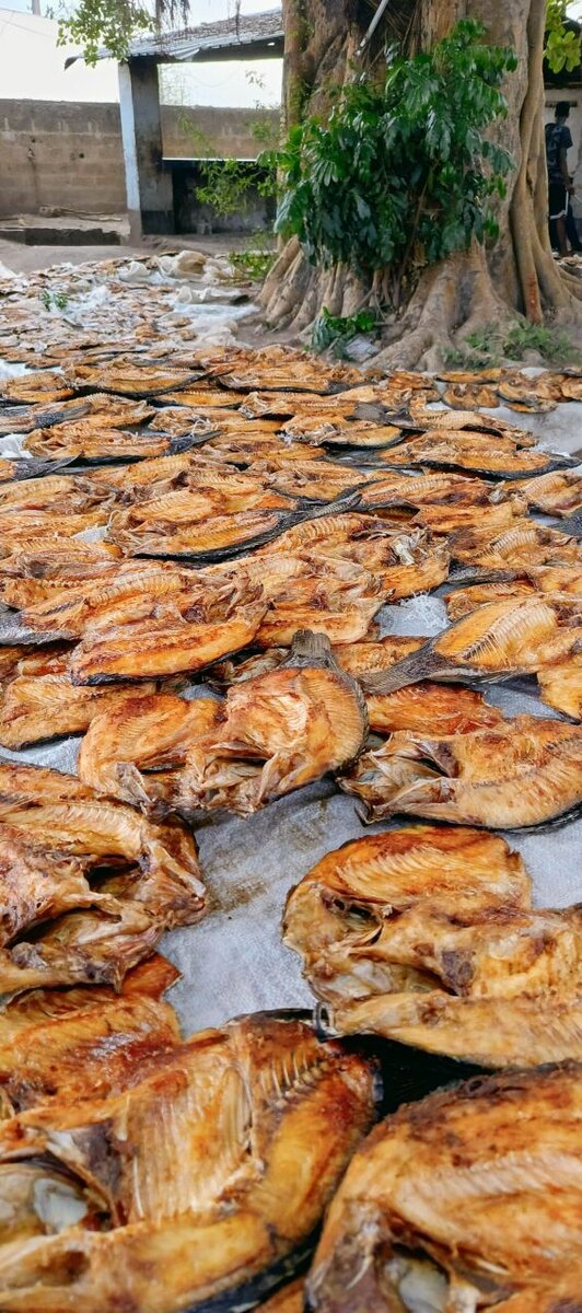 Semi dry moto moya fish, very tasty