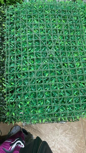 Mur vegetal