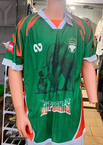 Maillot de Foot Éléphant