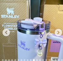 Stanley Cup Accessories