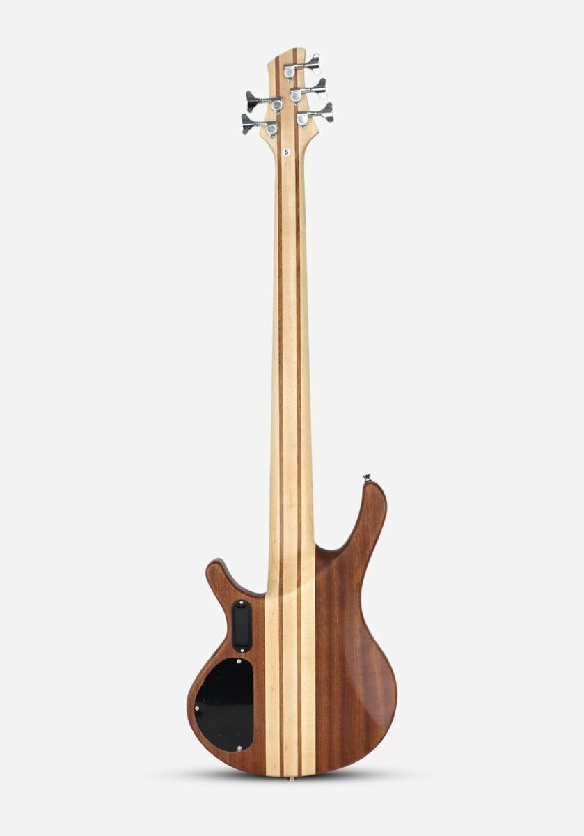 Guitare basse 5 cordes