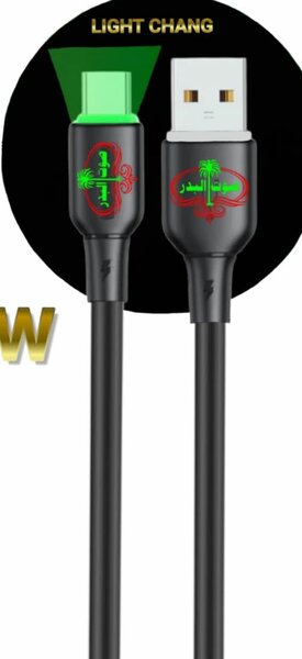 Type C Data Cable