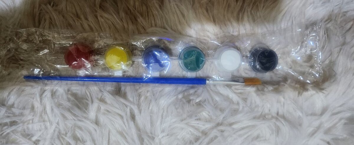 Set de Peinture Artistique