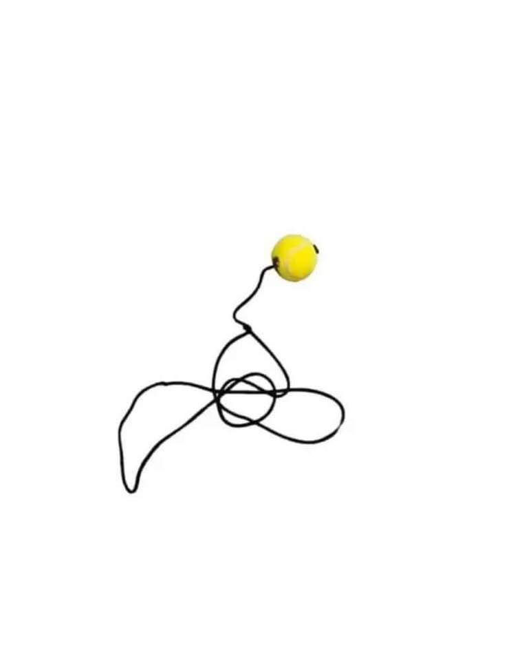 Cricket hanging ball for practice with rope