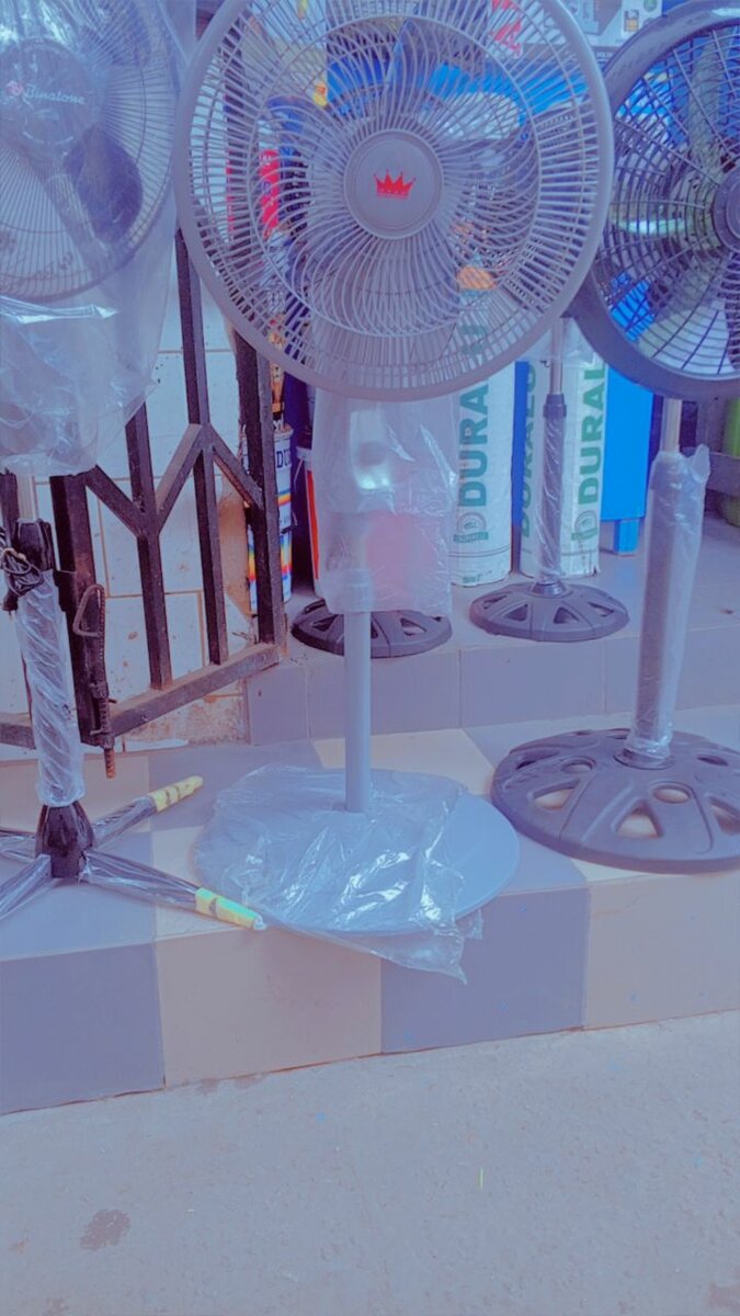 Adjustable Standing Fan