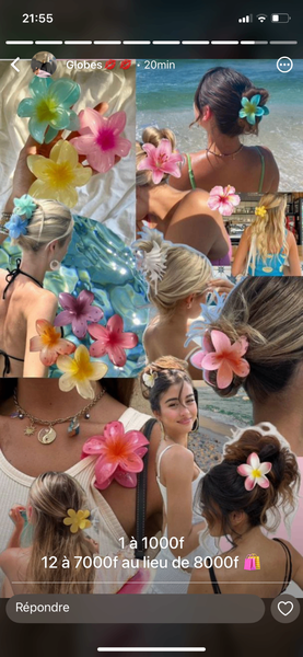 Pince à cheveux fleurs colorées