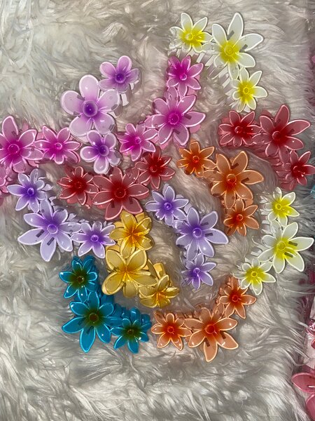 Pinces à cheveux fleuries colorées