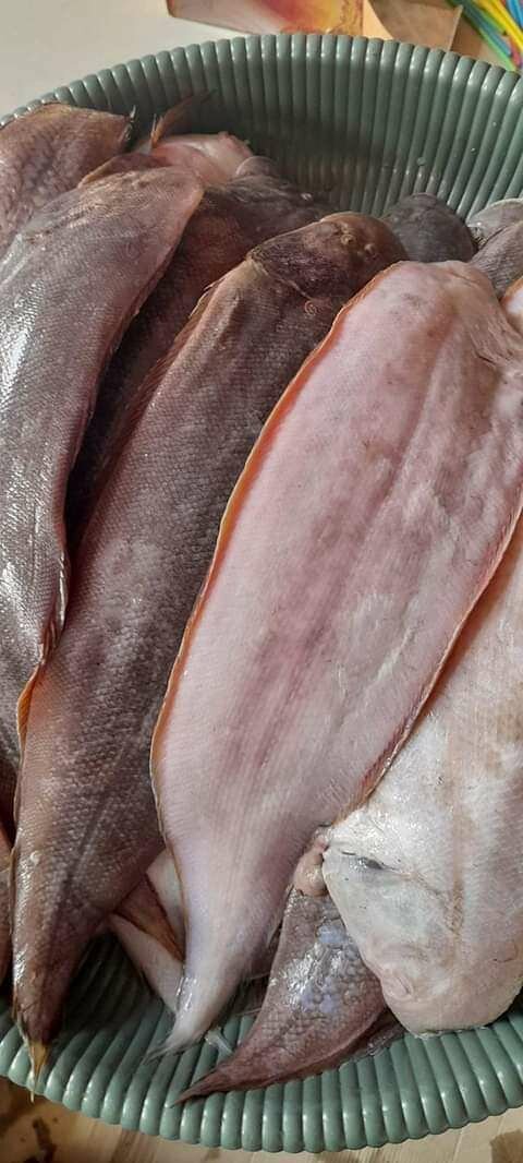 Poissons frais Soles