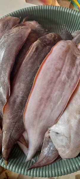 Poissons frais Soles