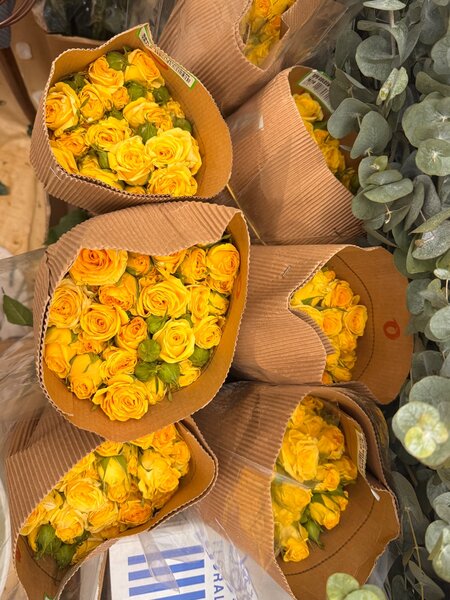 Спрей роза 70 см