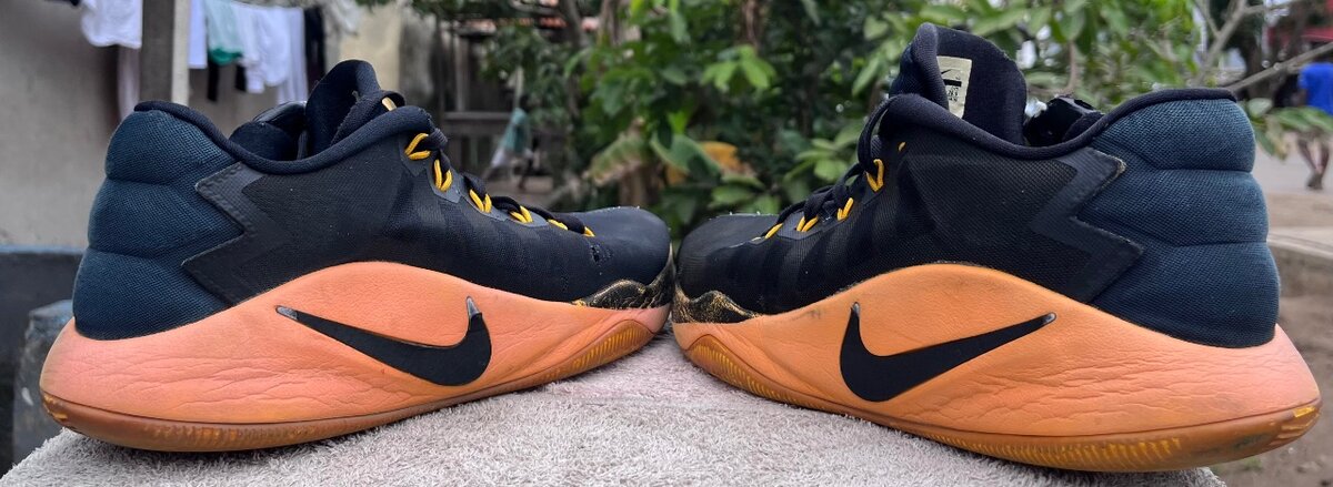 Nike hyper dunk low 2016